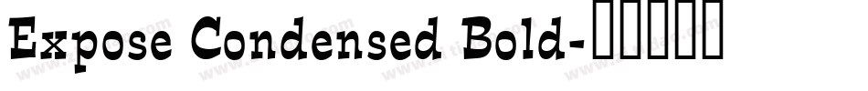 Expose Condensed Bold字体转换
